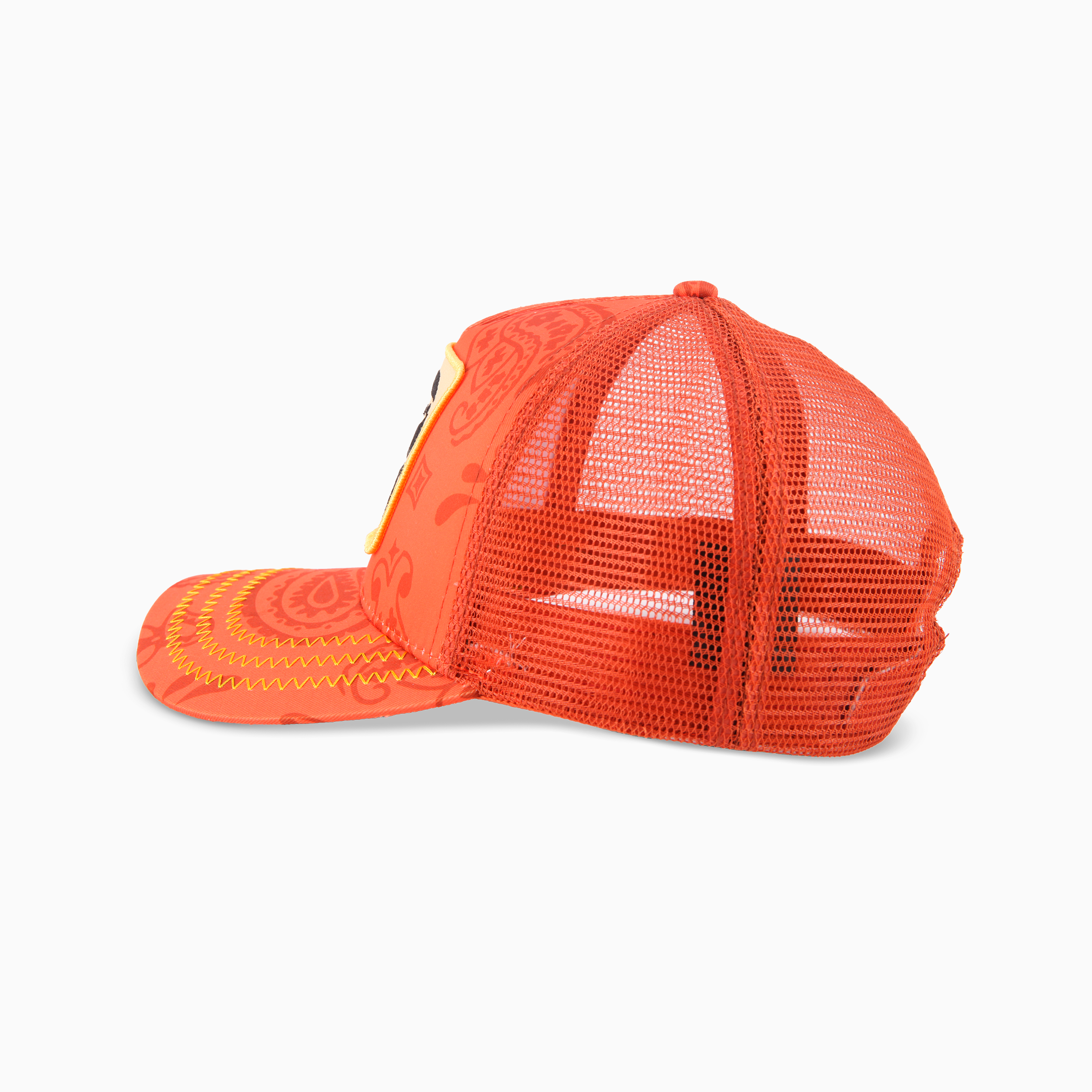 Mesh_cap